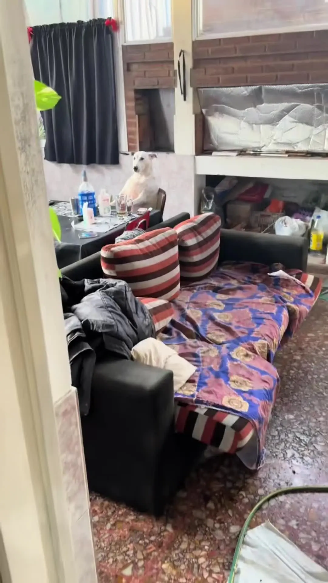 好家伙，它理直气壮的