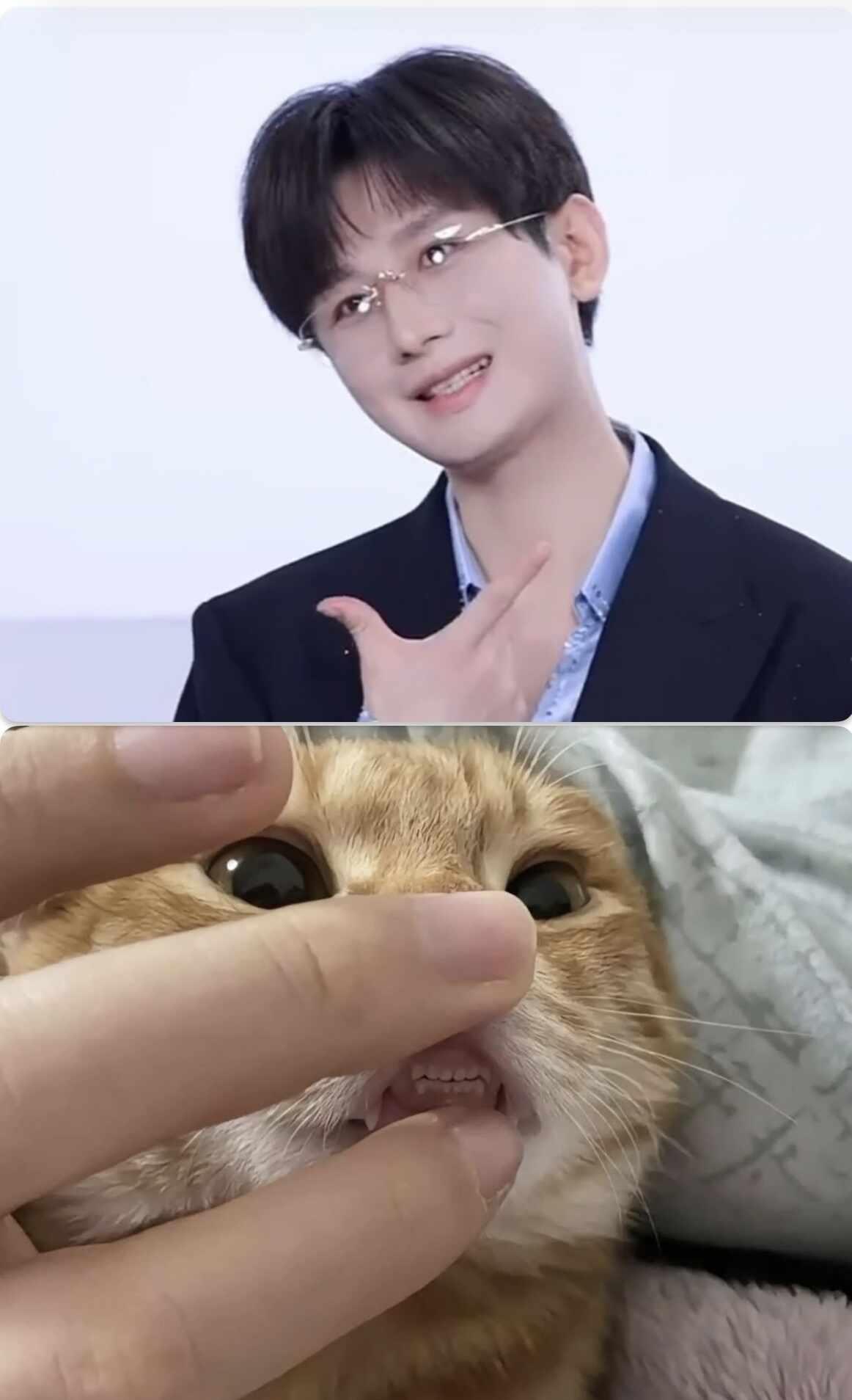 Teefies