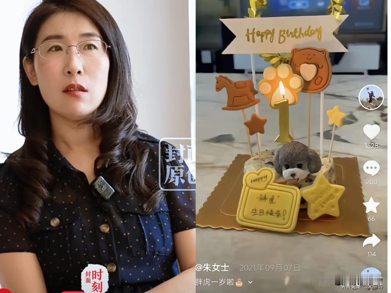 有事说事，
搞不懂有些人是怎么想的，
就朱女士胚胎案这事，为什么会去喷她养狗狗，