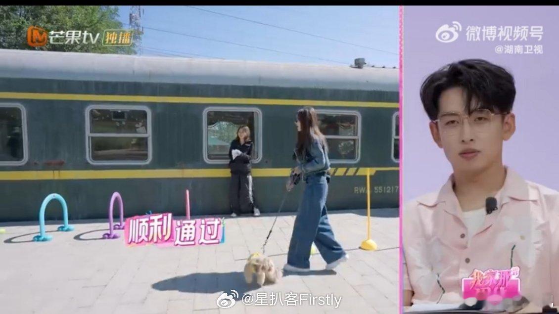狗界障碍赛考的是张予曦我家那闺女张予曦带狗跑障碍赛，狗：摆烂是我的宿命；她：必胜