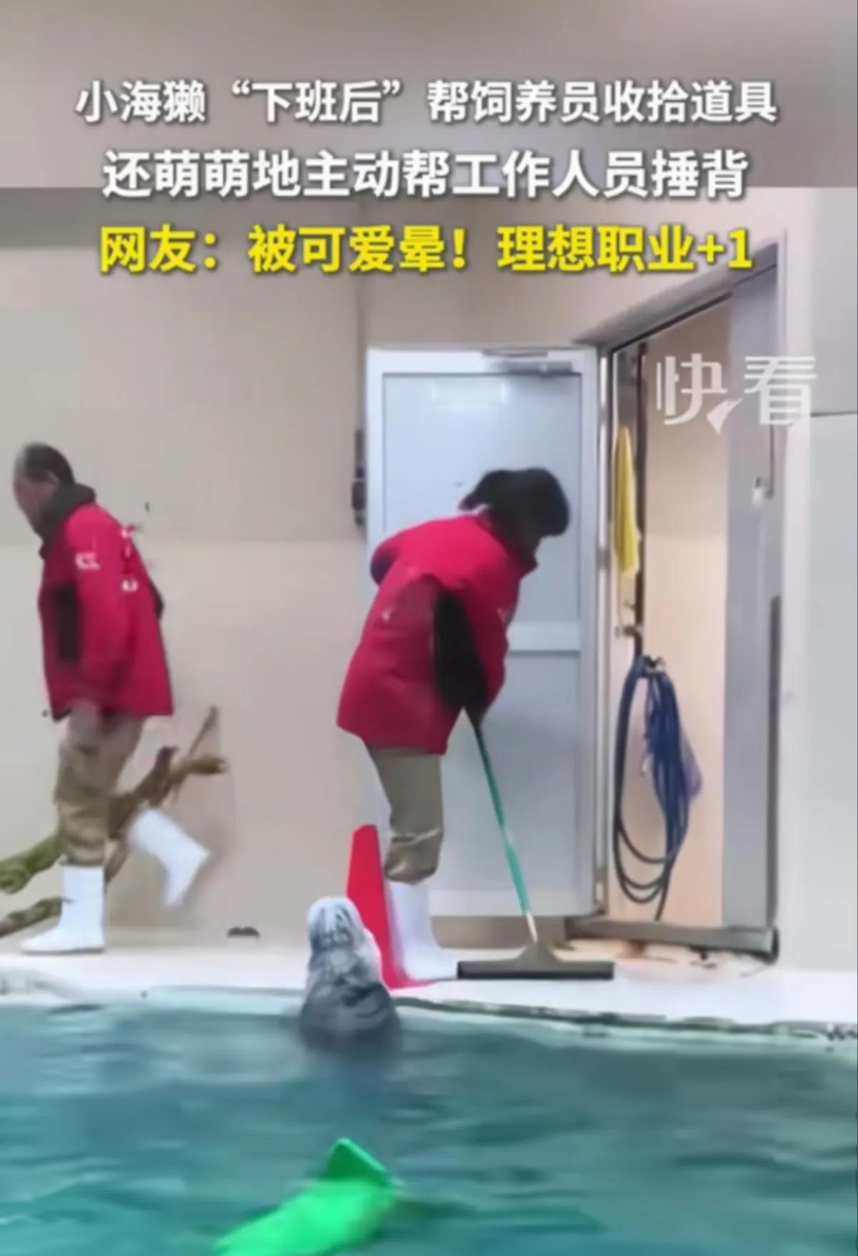 海洋馆的小帮手

海洋馆下班了，饲养员都在忙，忙着打扫卫生，清理道具，清理垃圾，