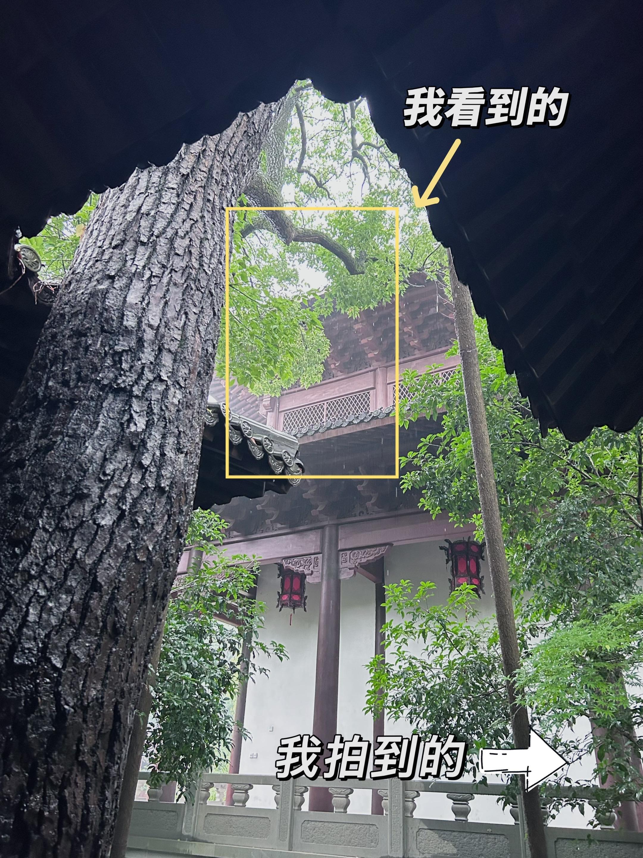 几张图告诉你构图的重要性｜杭州钱王祠📷。