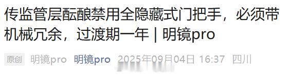 隐藏式门把手 监管部门正在讨论禁止全隐藏式门把手的法规，并可能在后续法规中明确禁