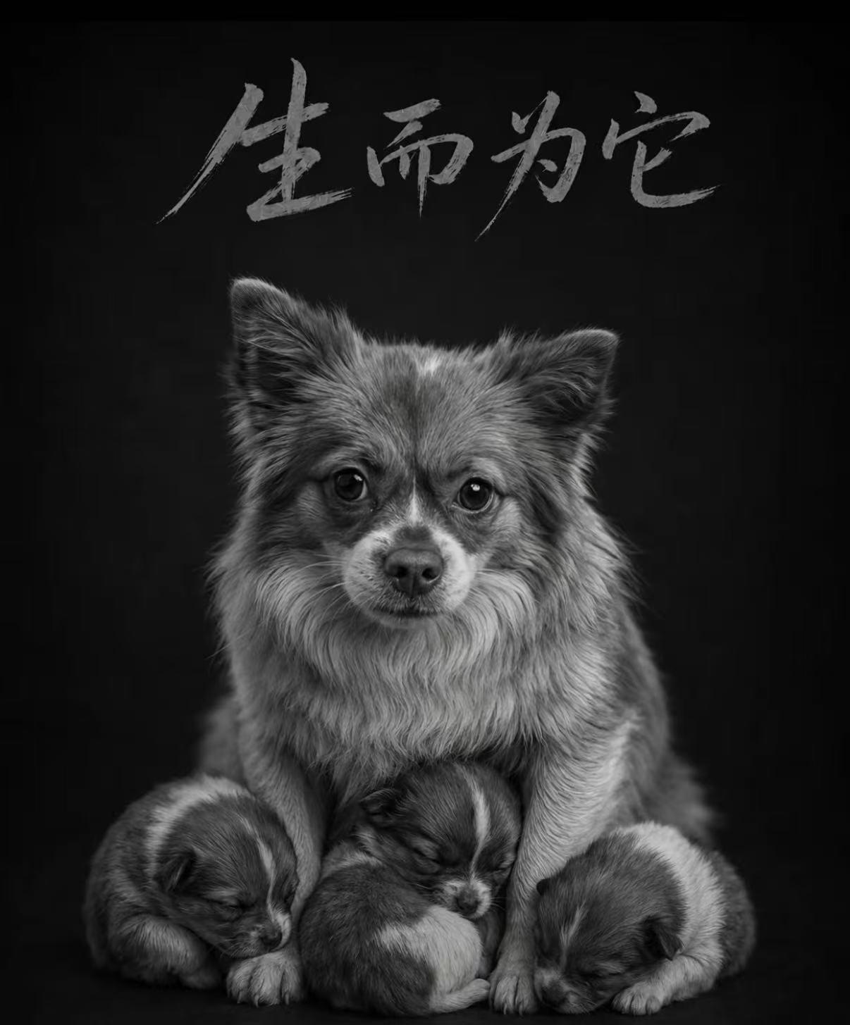 有个女孩因为此件事很抑郁 因为她一直把人类想象的很美好。她说不想再爱人了。只心疼