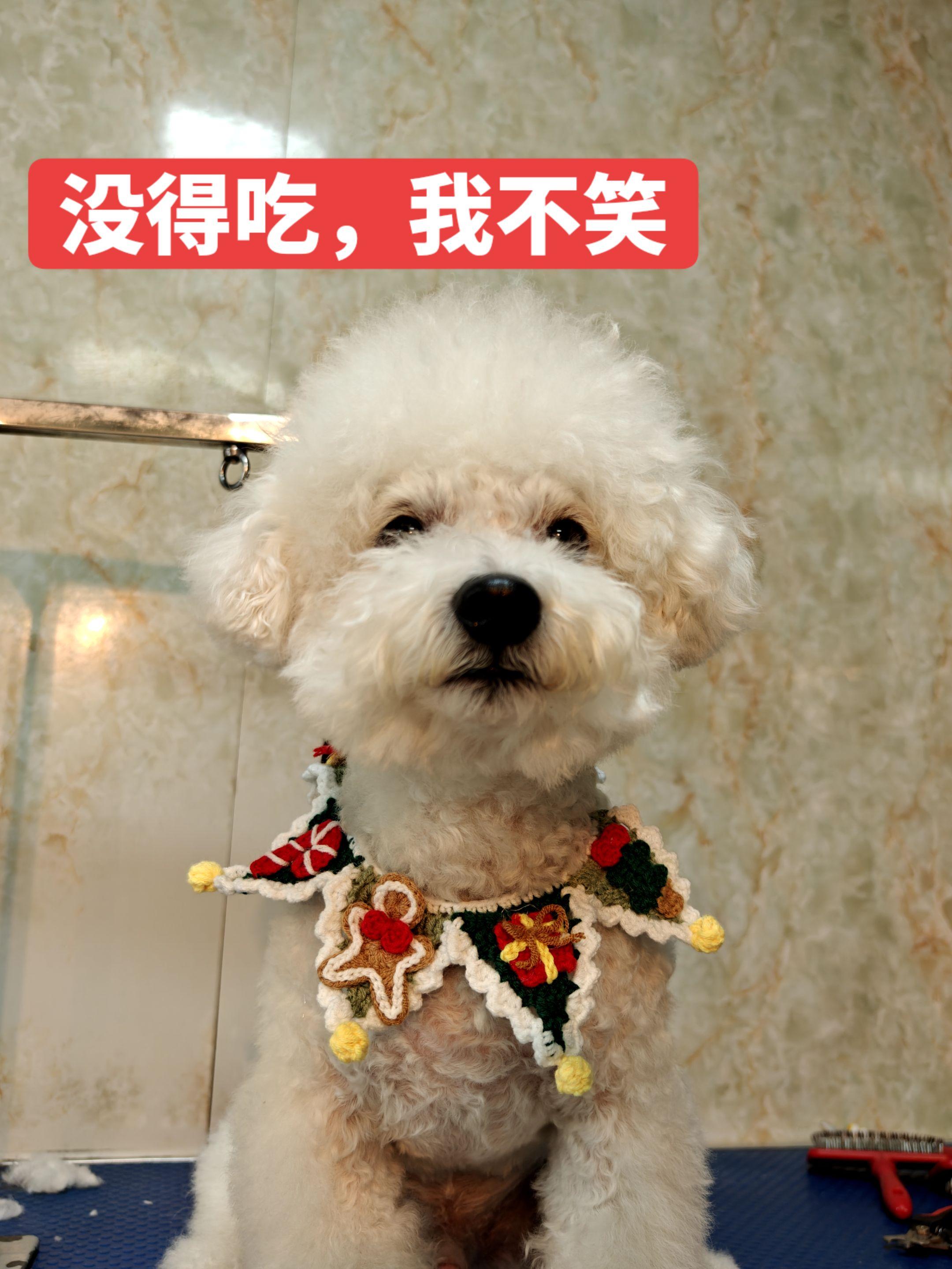 小狗能有啥坏心思呢，只是会有两副面孔而已