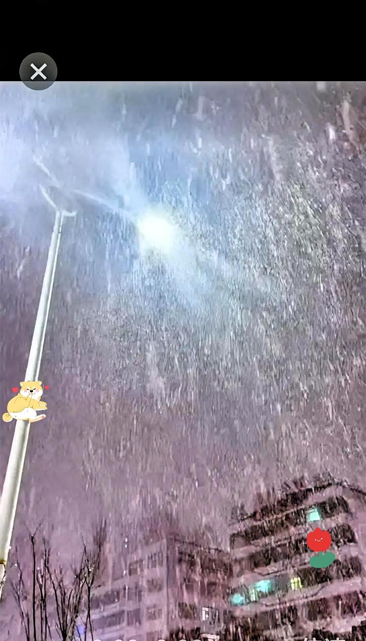 今年第二场大雪呀！

家人们快看！这雪下得也太猛了！刚下楼买个夜宵，一抬头直接被
