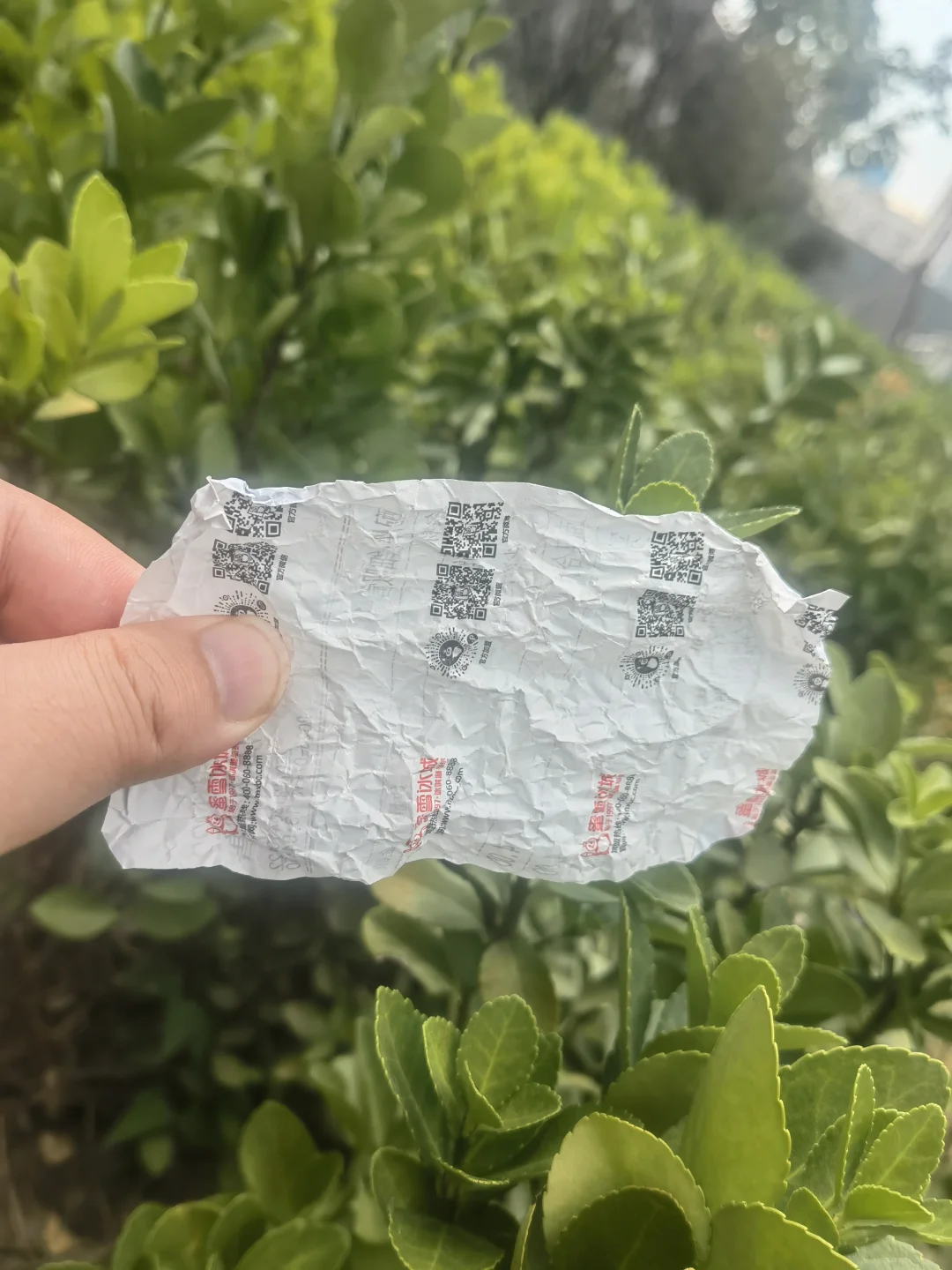 谁懂啊，这张纸是含金量