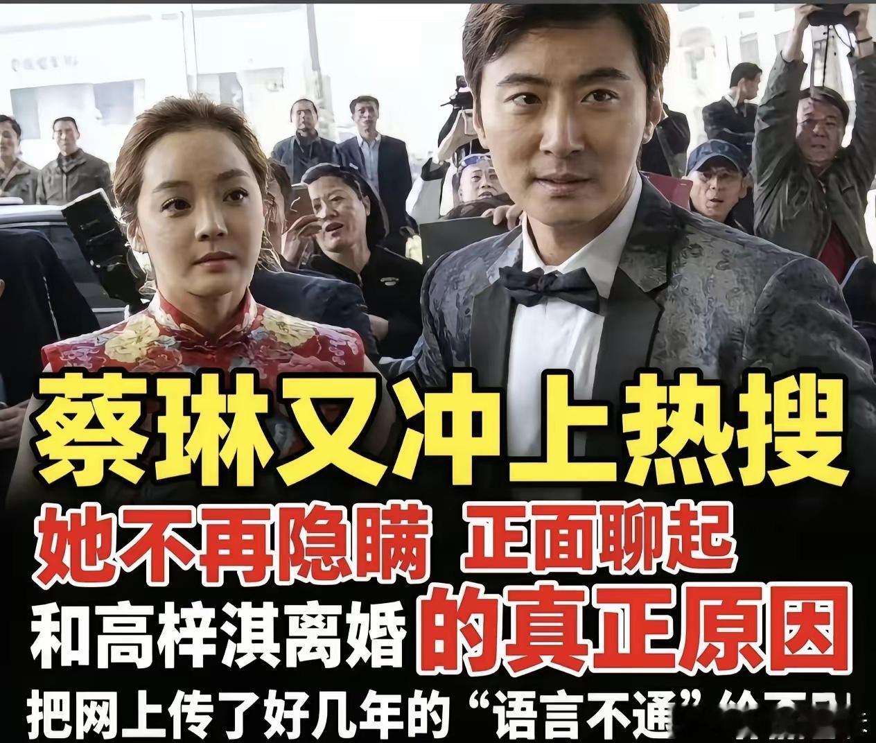 蔡琳澄清并非语言不通才结束婚姻，恋爱时跨越国界尚且能够相爱，婚后定居分歧、生育带