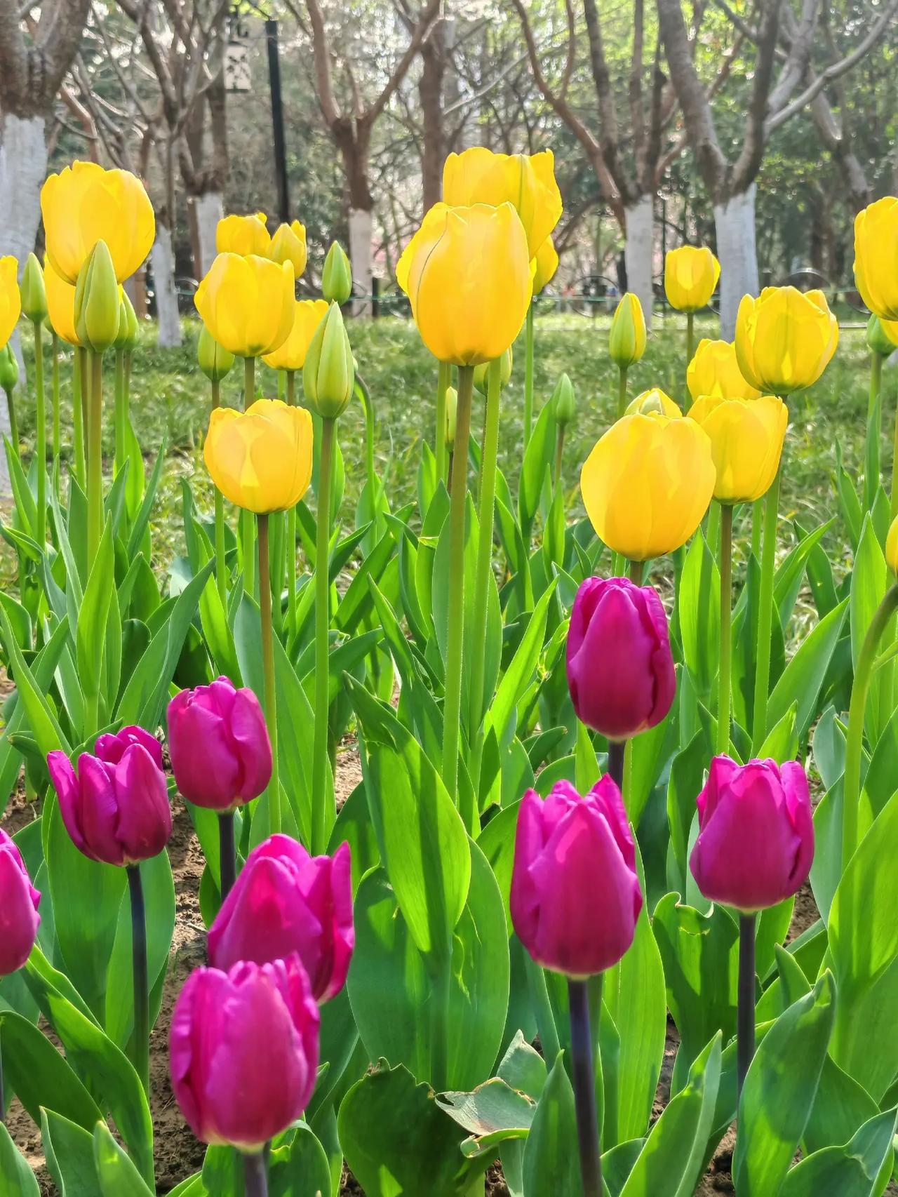 住进风景里 享受大自然 图文热点来了 风景如画的地方 镜头里的春日美景