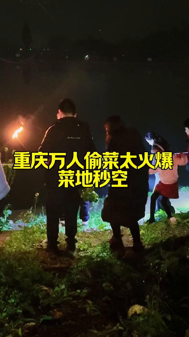 重庆万人偷菜太火爆，菜地秒空。