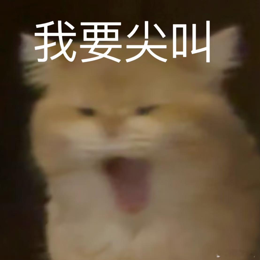 真的靠豆包抢到了苹果18说出来有点好笑，为了抢苹果新机首发，我前前后后折腾了整整