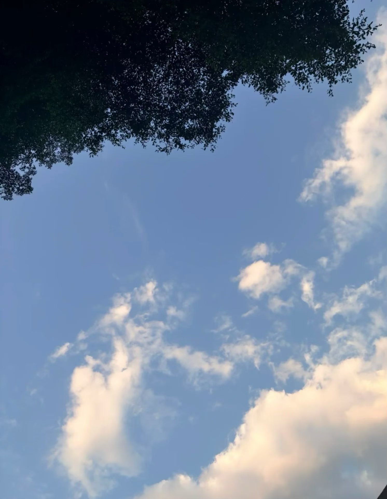 发朋友圈要有滞后性朋友圈一年发不了几个？但是会天天看，微博会发的比较频繁，没事碎