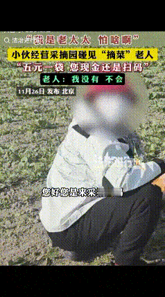 “我是老太太，我怕啥呀！”一小伙在自家经营采摘园里碰见了一位7旬老太太在偷摘菜，