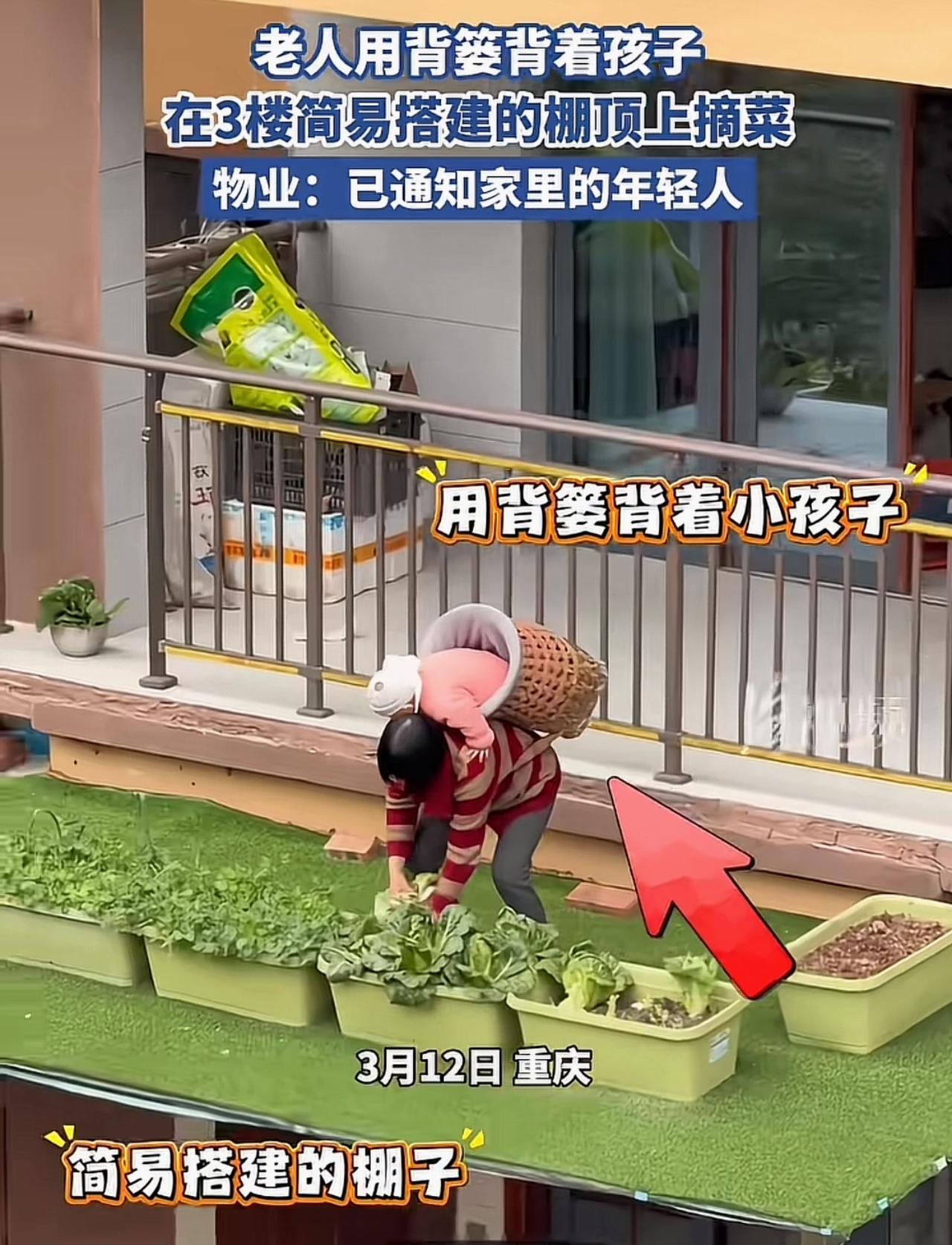 不怕老人老，就怕老人蠢。

发现了没，很多七老八十的老人一样也能把孩子带的干净利