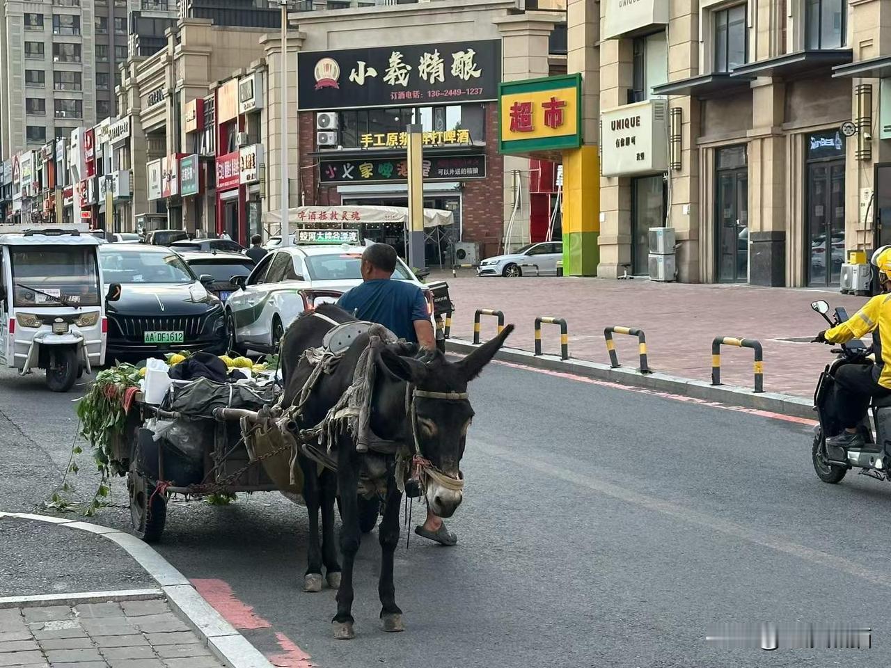 能在省会城市中心看见🫏车，开眼。
图文原创：四季鱼
带定位晒今日生活