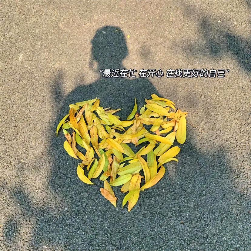 身忙心不忙
才是真功夫
真正的清静
不是没有声音
而是内心不受干扰