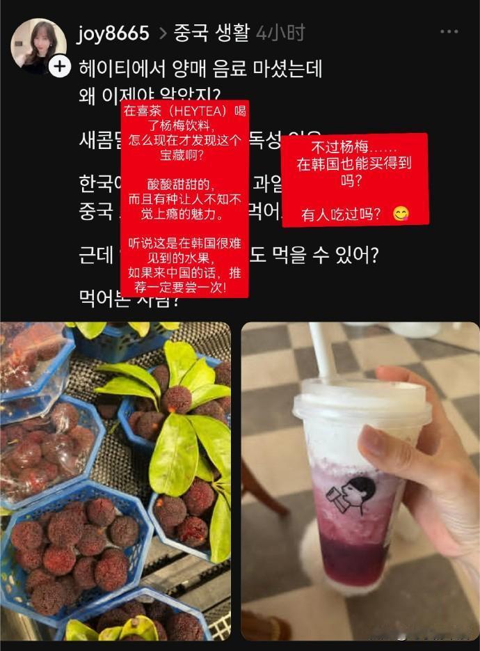 当韩国人在上海发现了杨梅！特意查了一下，原来韩国有杨梅，但极少、几乎没有商业化种