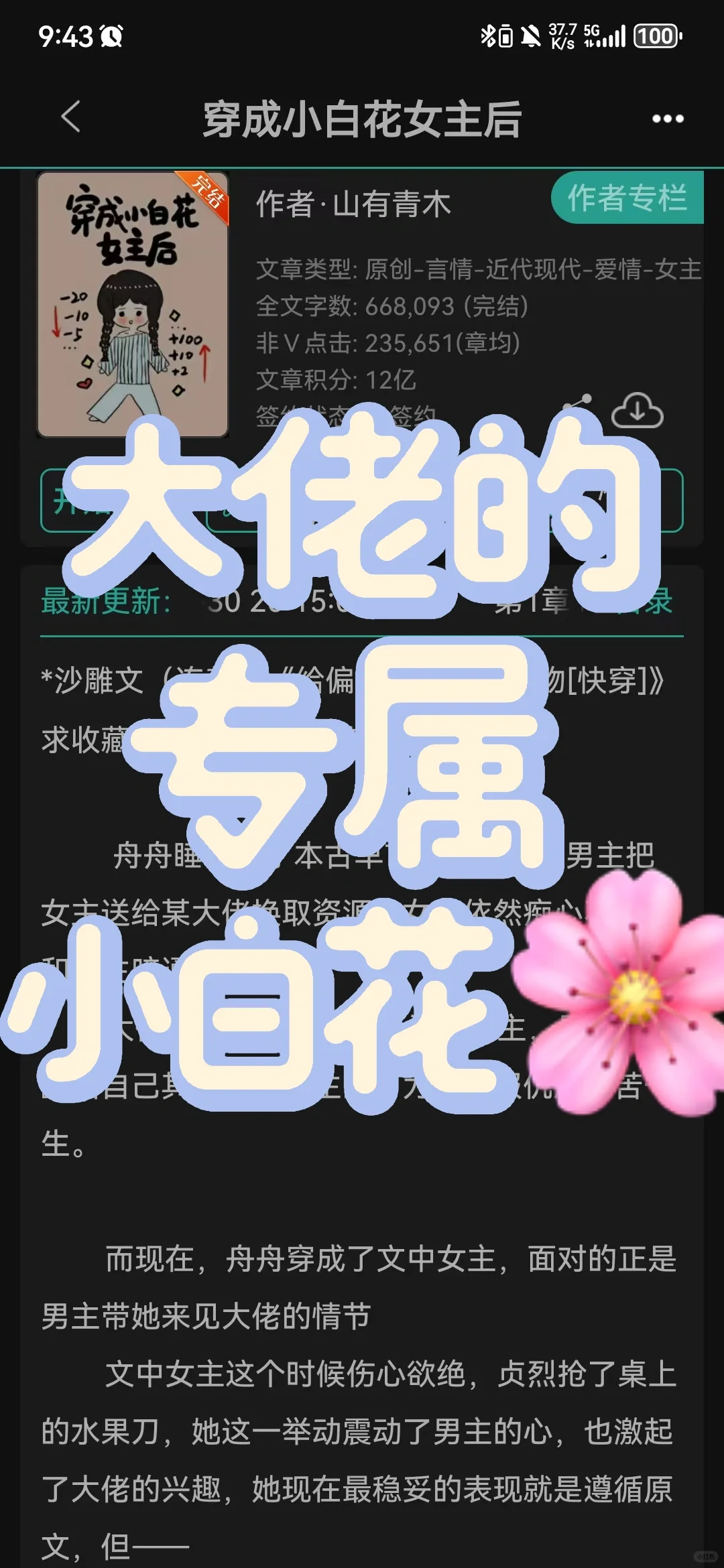 猫猫霸总和他的戏精小白花🌸