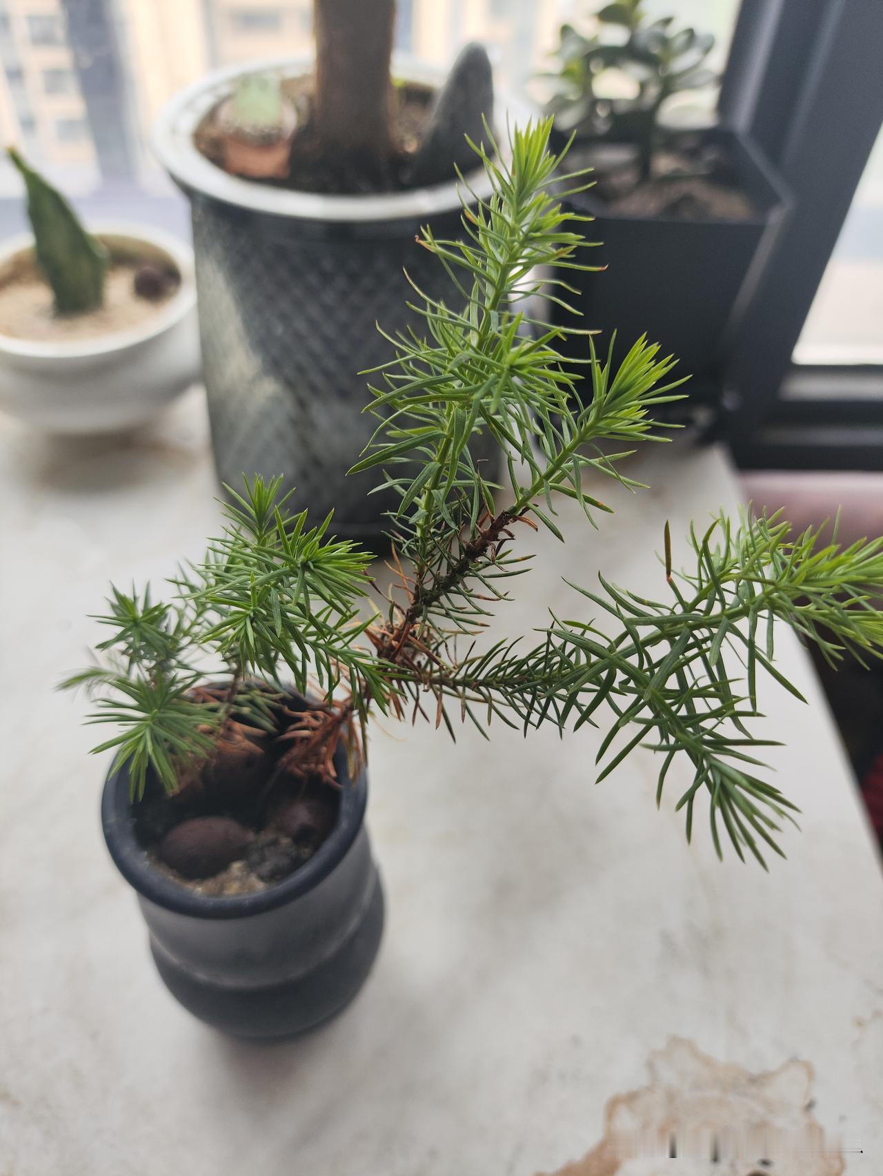 太热了
夏天又来了
一年一年都一样
不一样的是心情