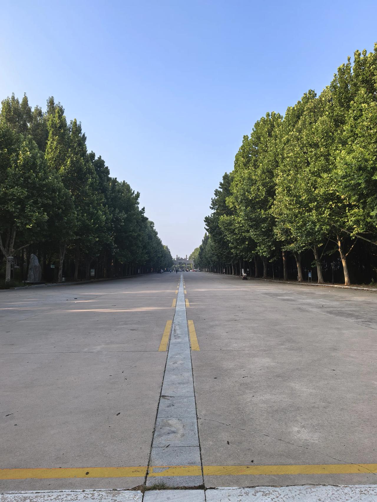 上联：有心栽花花不发求下联无心插柳柳成荫