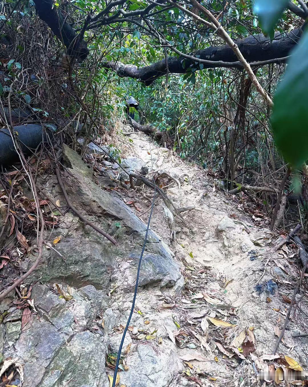 穿行在山林间的小路，草木繁茂，枝叶交错。
踩着落叶与石阶缓步前行，远离城市喧嚣，
