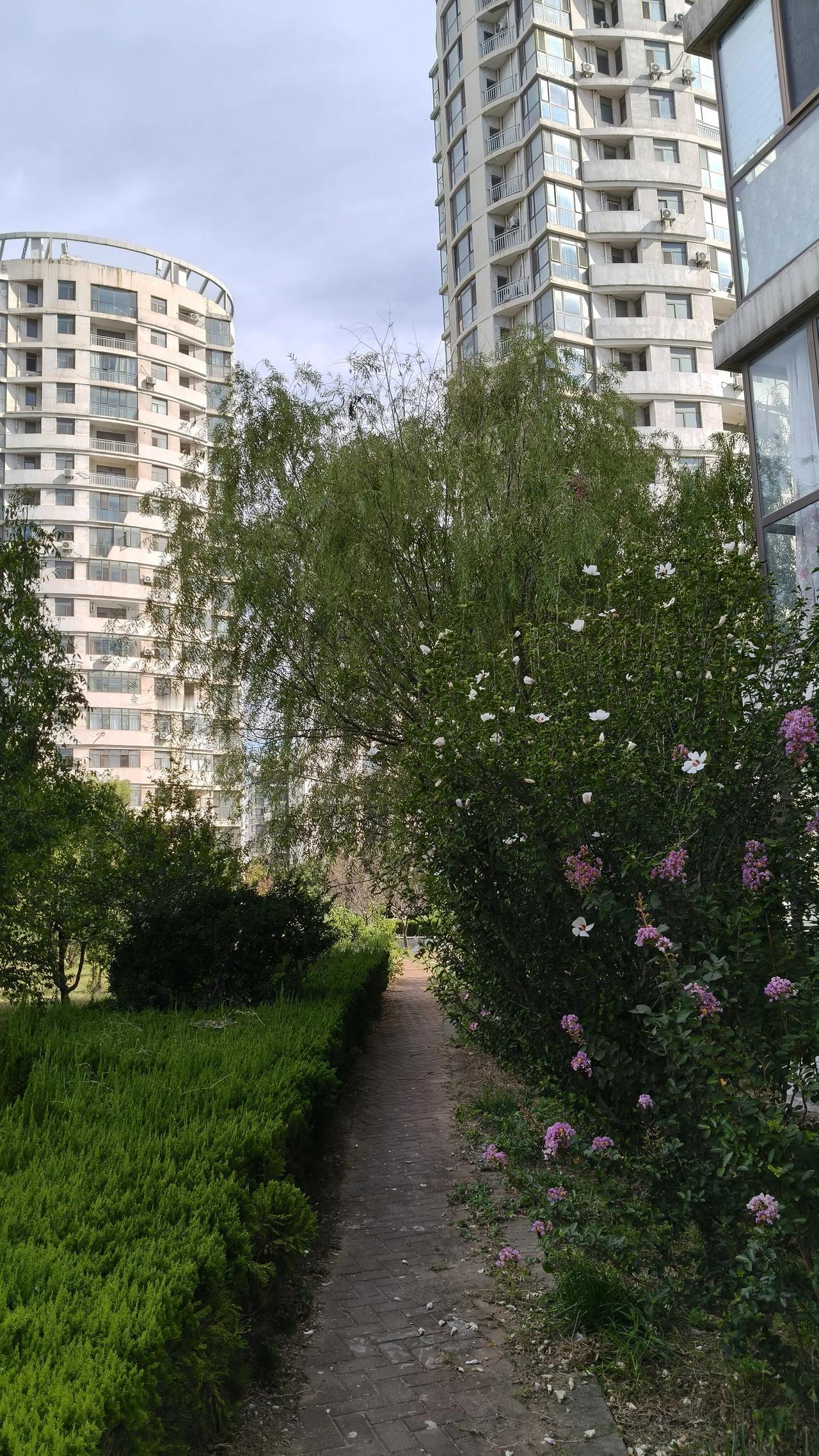 你最想对哪位老师说句什么？我们初中班主任，如果没有那个事情简直就是完美，可惜呀，