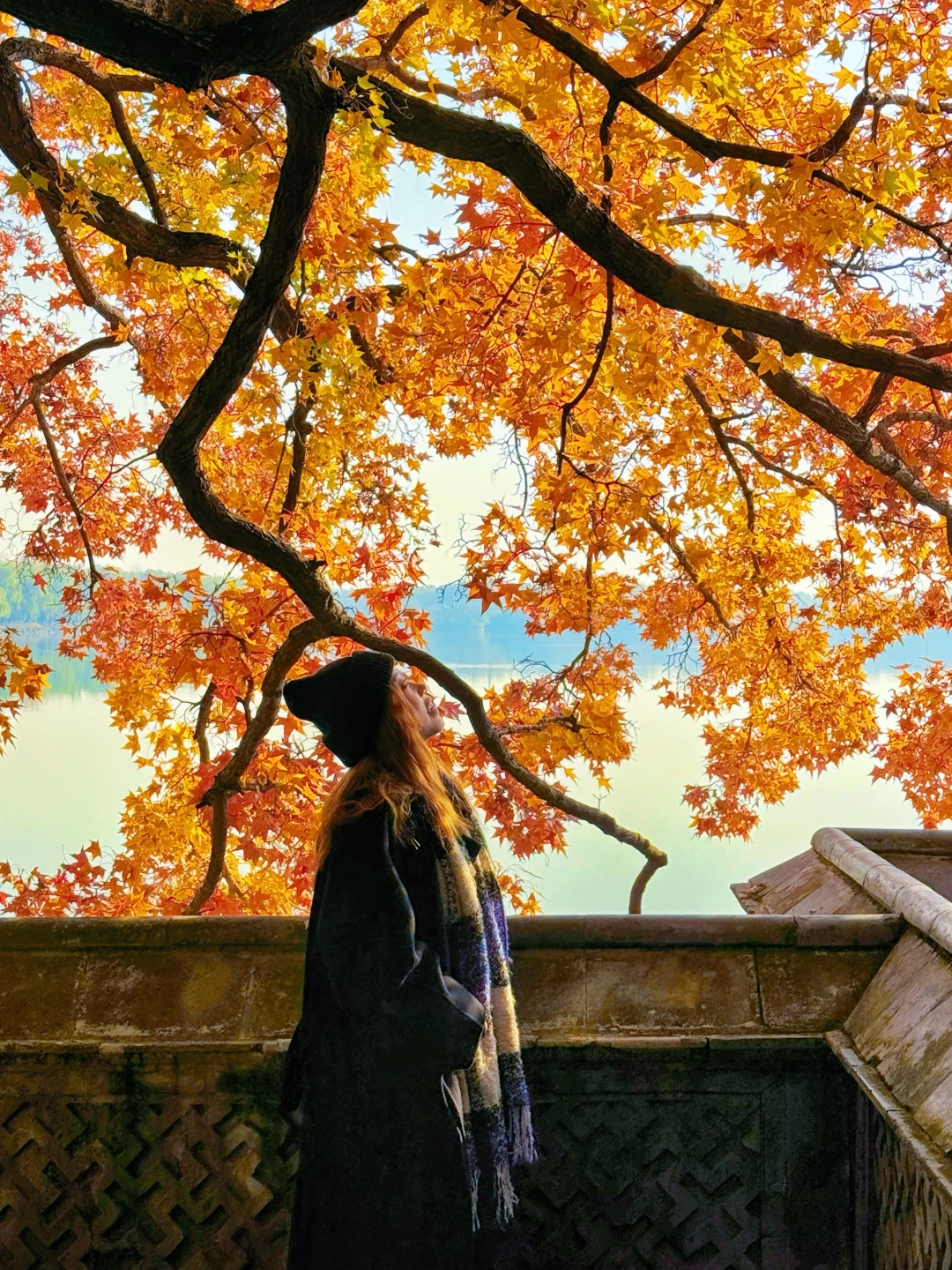 能打败颐和园的只有秋天的颐和园❗️附机位～