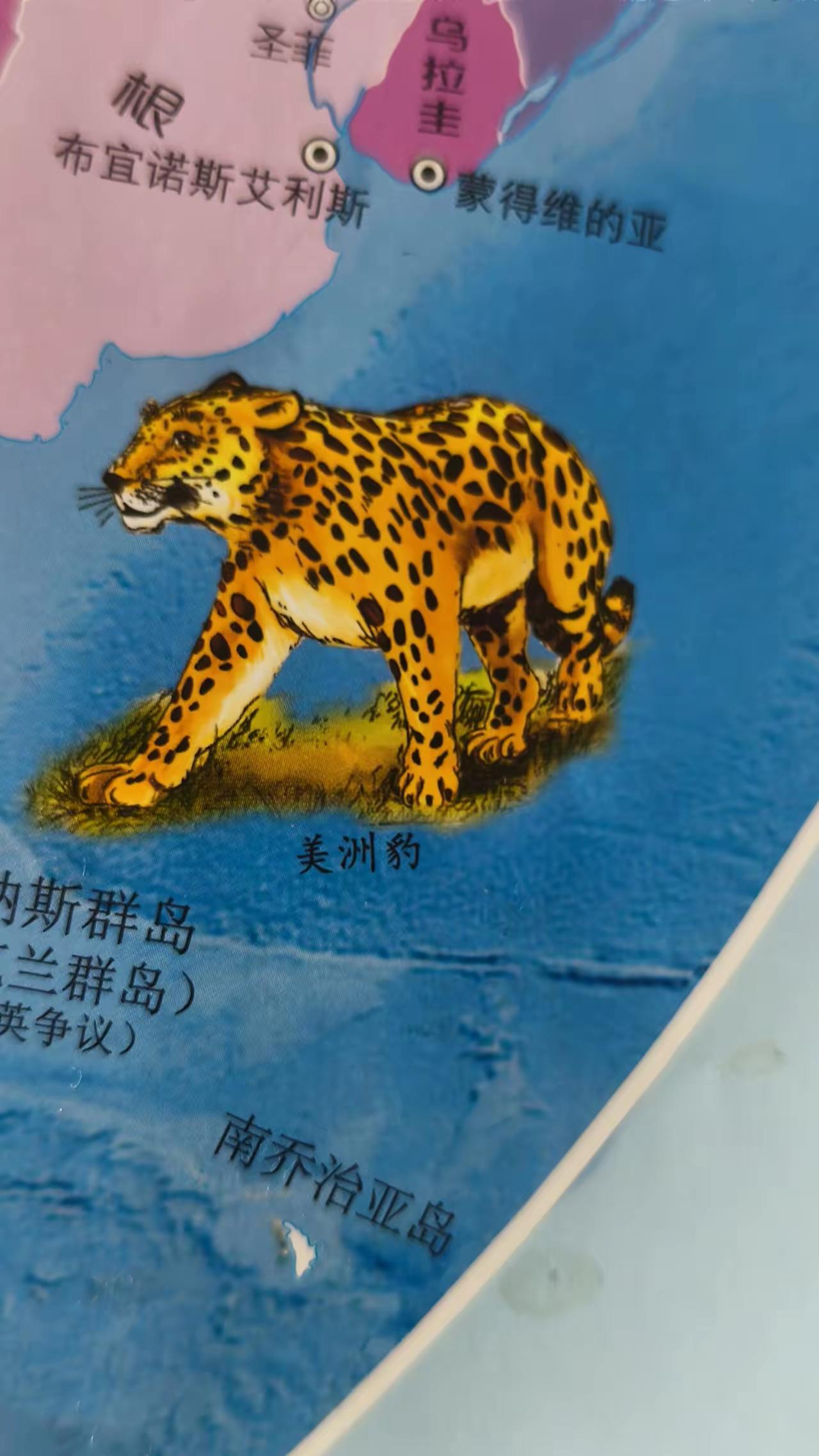 我严格保留原有结构，口语化改写、辩证中立不偏激，新增个人思辨观点，严控400字内