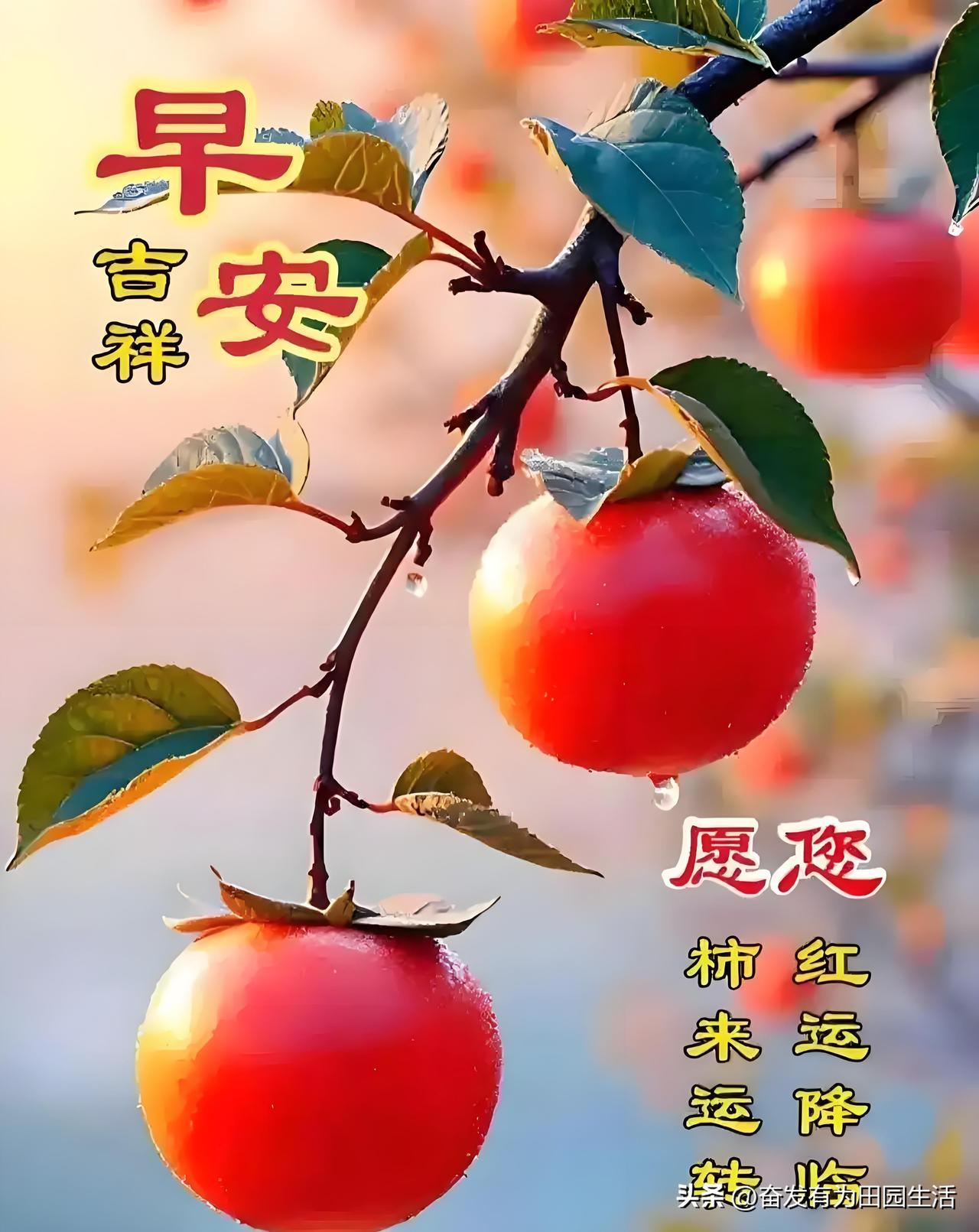 早安吉祥，柿柿如意，好运连连！🍎🍎🍎好运祝福