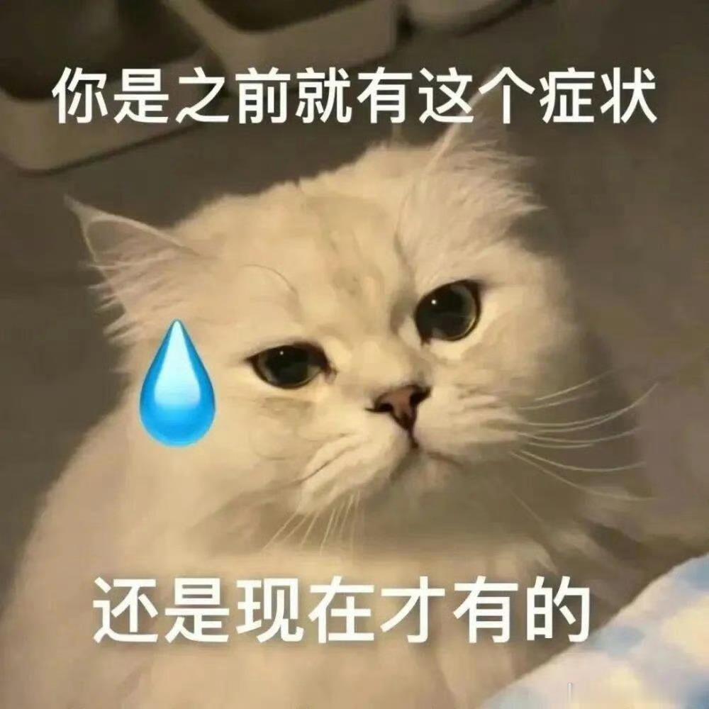 无法共情大嘴巴，我如果没有路费我会去努力攒钱，如果没有假期我会再想办法沟通看看，