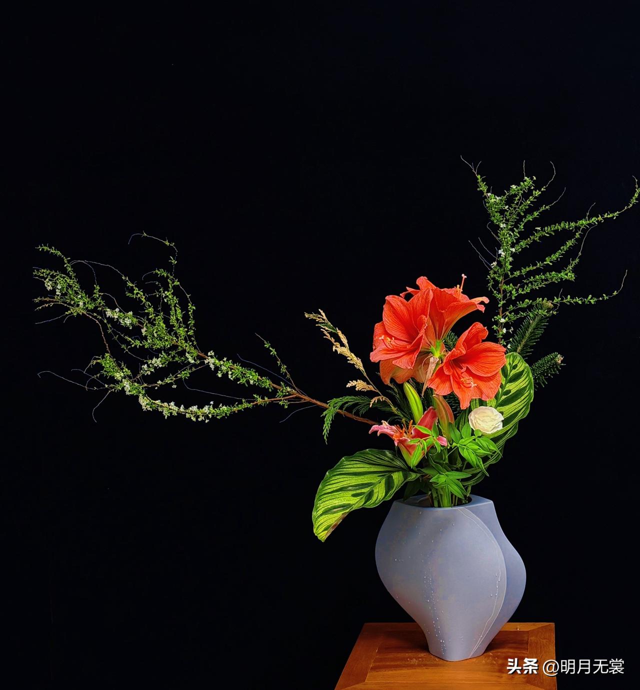 天南地北大拜年