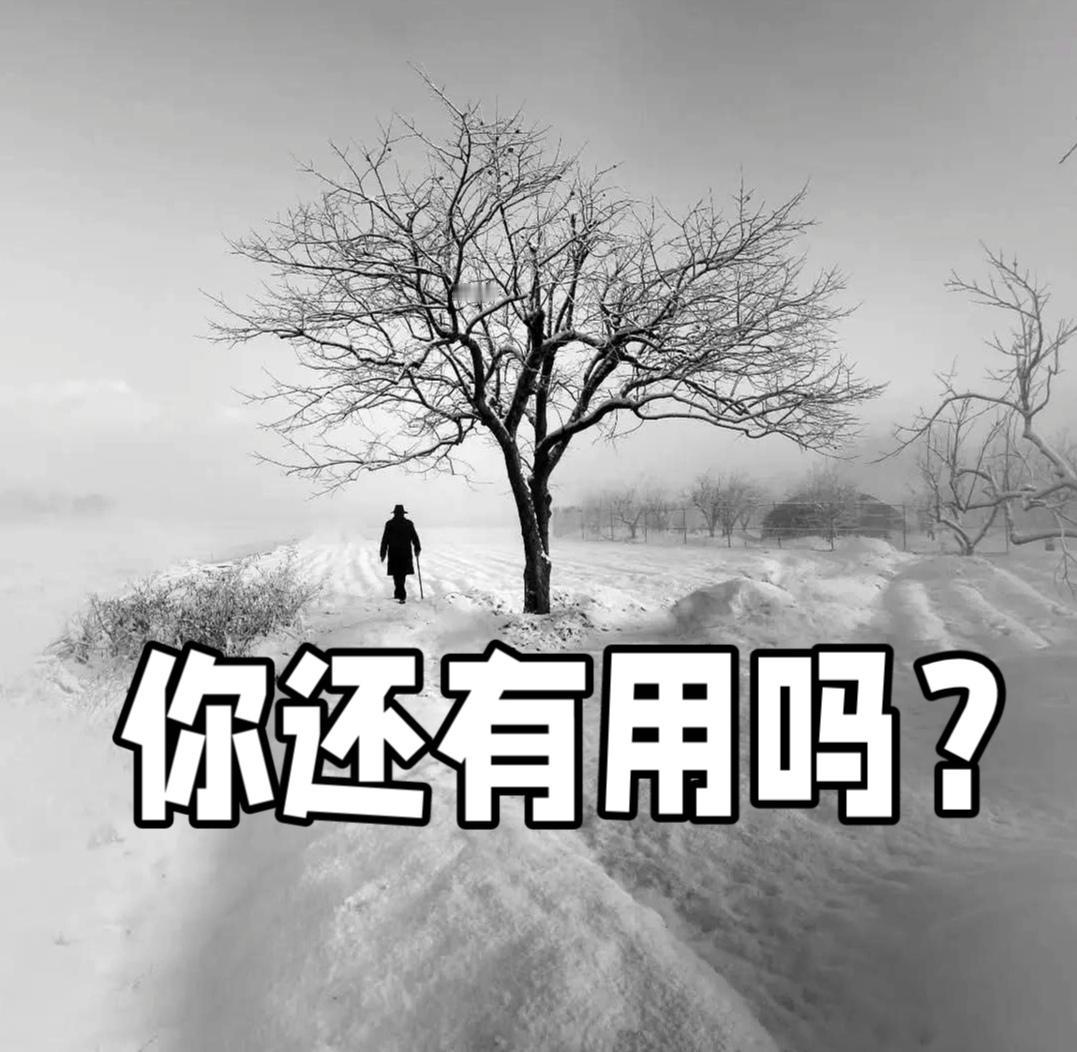 “不是没有亲情，是你没有用了”，这句话很流行，也很现实。
它的深刻含义在于揭示了