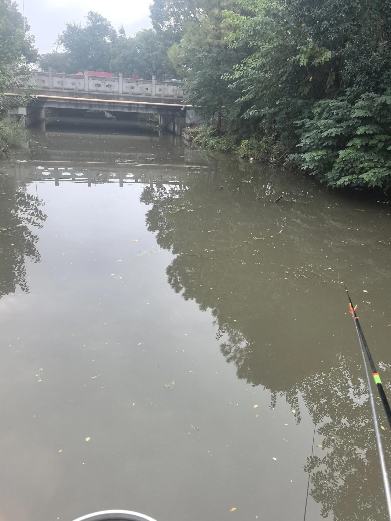 满池浮萍随波逐，不知何处是归途。
我辈岂此蝼蚁命，任尔东西南北促？