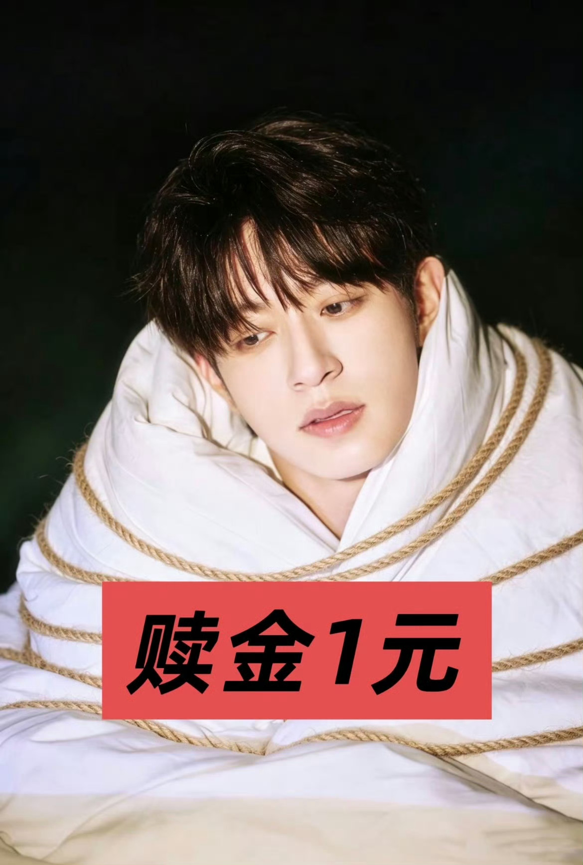 绑架一只兔，一手交钱一手交兔毛，一块一根兔毛[兔子] ​​​