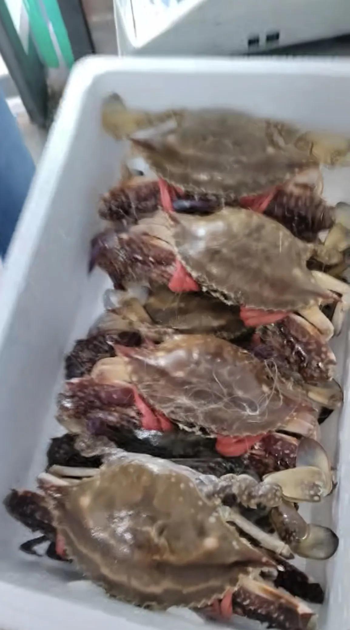 过个节是真累，礼尚往来，人情事故都要处理，真是麻烦！就昨天一天，咔咋送出去四箱梭