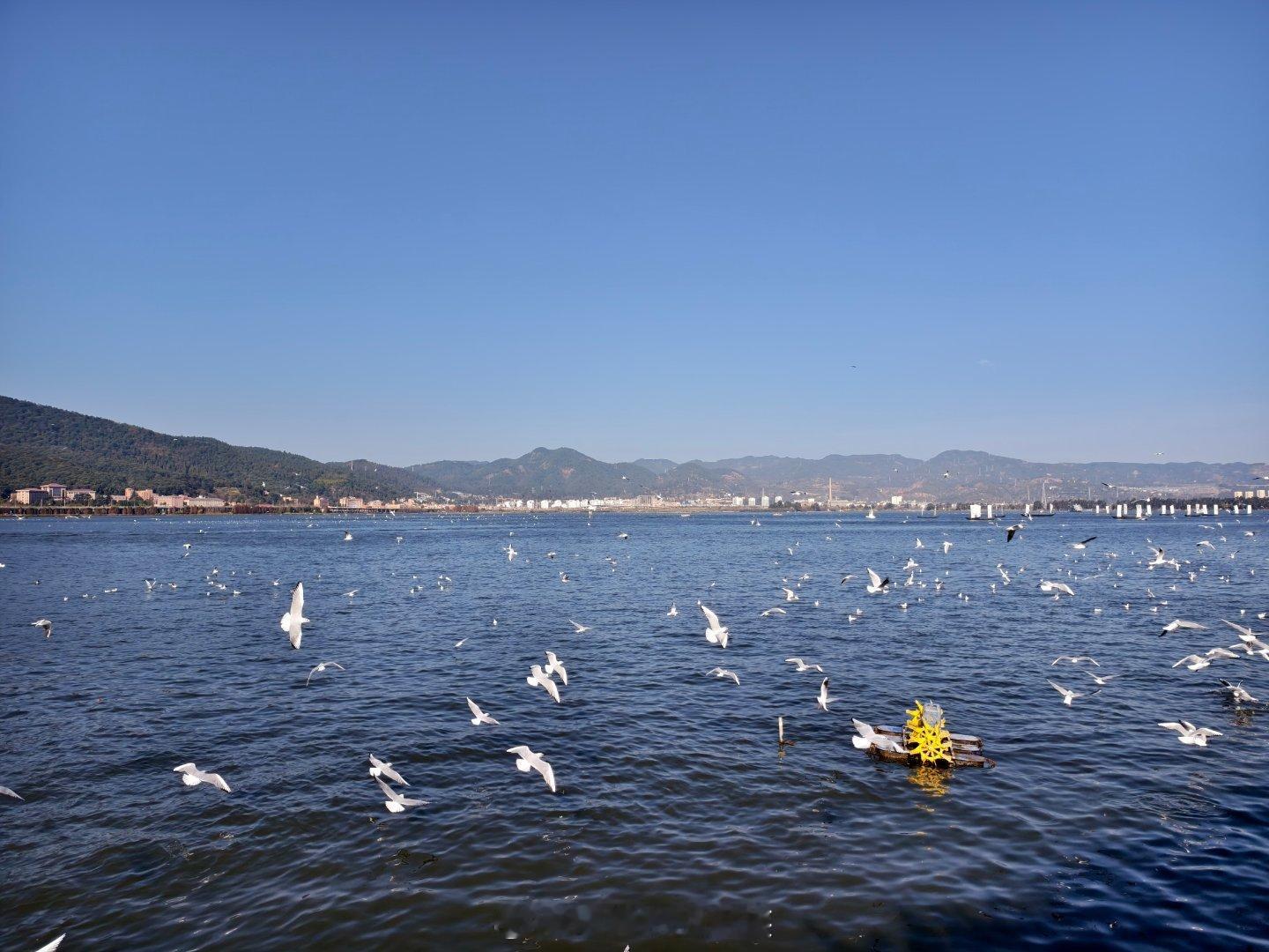 P1-3 昆明海埂大坝看海鸥一波三折，第一天傍晚时分去到海埂大坝，严重堵车，打车