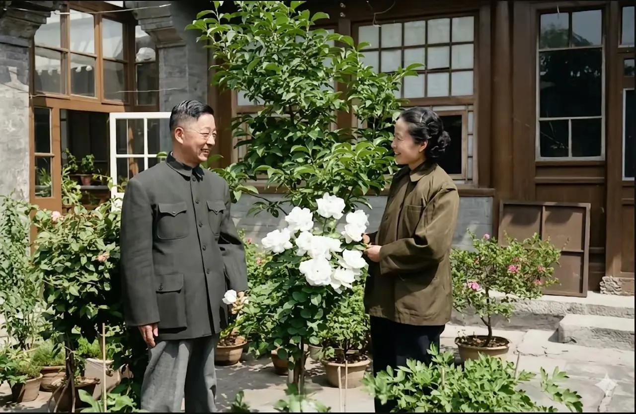 老舍先生与夫人胡絜青。老舍先生一生喜欢养花养草，还有养猫。这些都是他建国后重要的