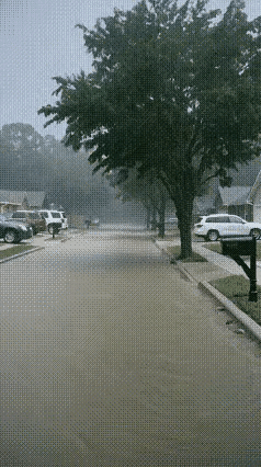 闪电击中大树，太壮观了。