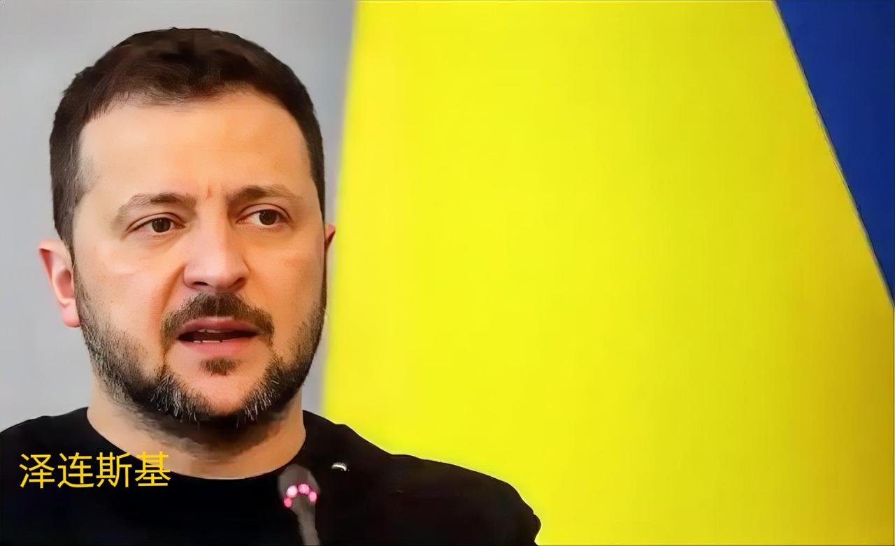 泽连斯基愿参加特朗普与普京会晤，乌局势再添变数，战火中的求救信号引发热议
乌克兰