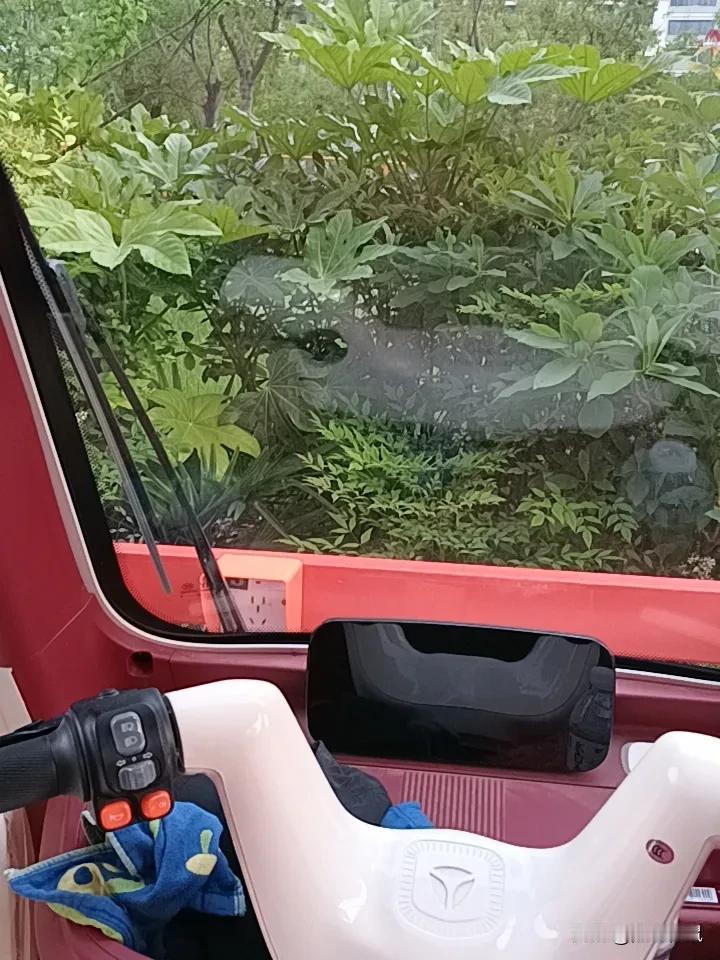 🌳 在绿意盎然中享受宁静时光，感受大自然的美好。