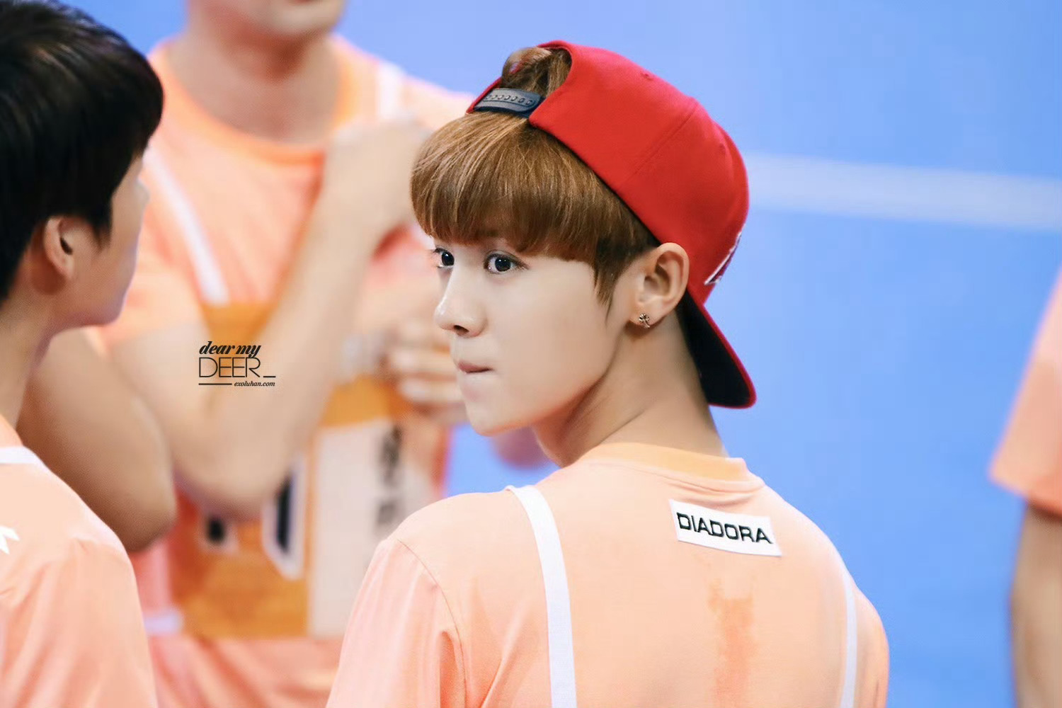 人可不可以不成长？其实一点也不需要你带领我们只想让你在我们身后继续做那个明媚的少