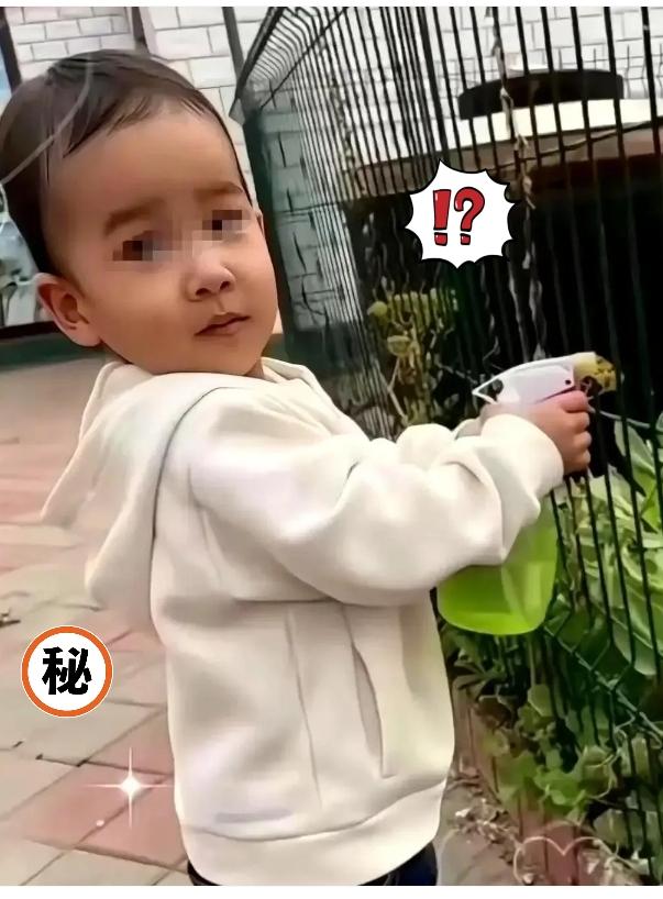 姓氏与亲情的抉择，舅舅陷入两难！

金家那边终于递话了，就为小洲洲改姓的事。
话