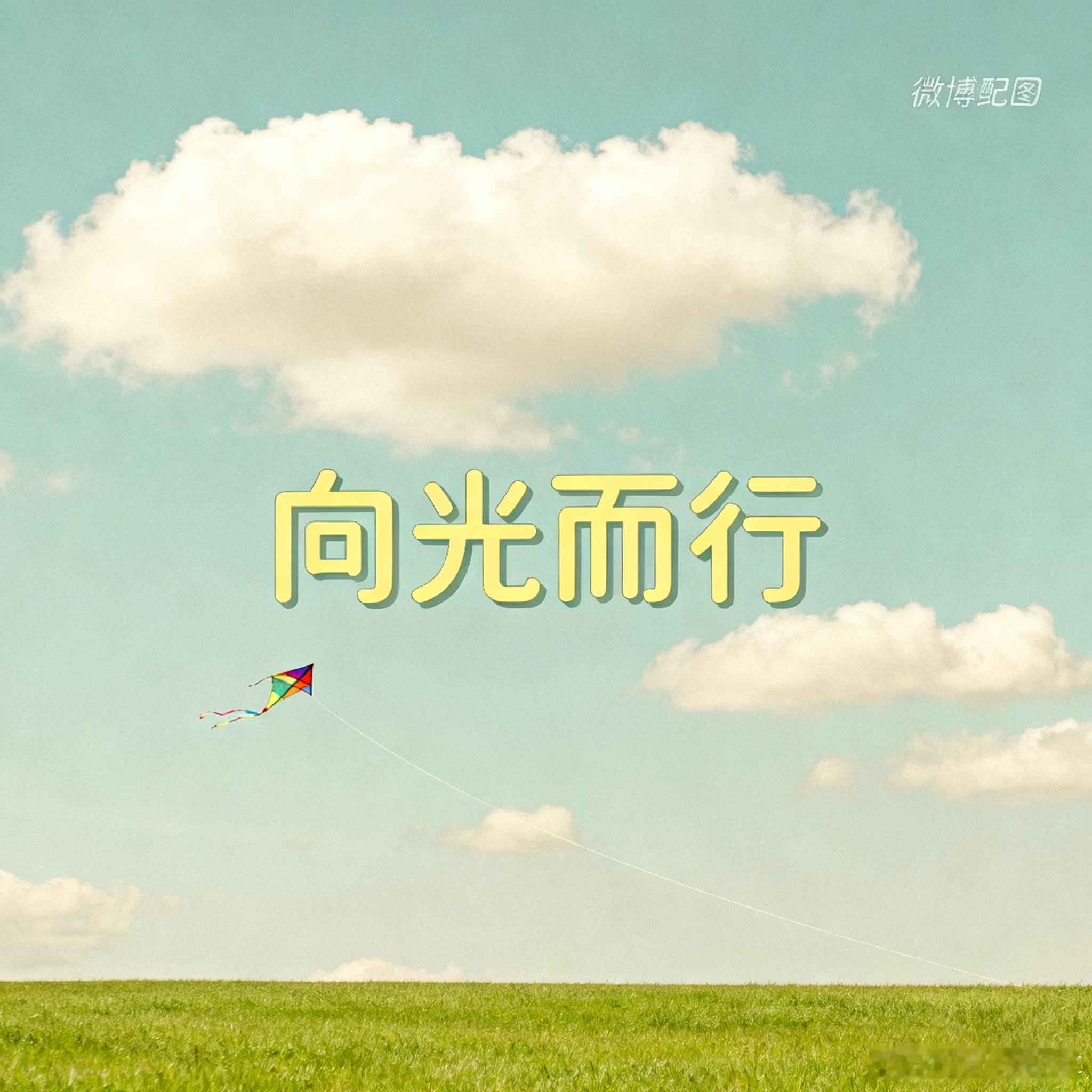 二师兄“各抒己见”系列之：买新能源汽车，你更倾向纯电动汽车还是插电混动汽车？为什