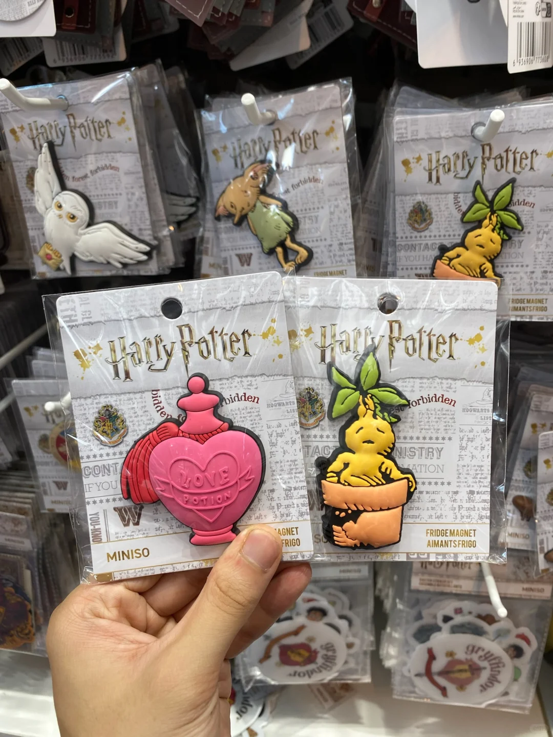 香港快闪！！哈利波特最伟大的单品…………