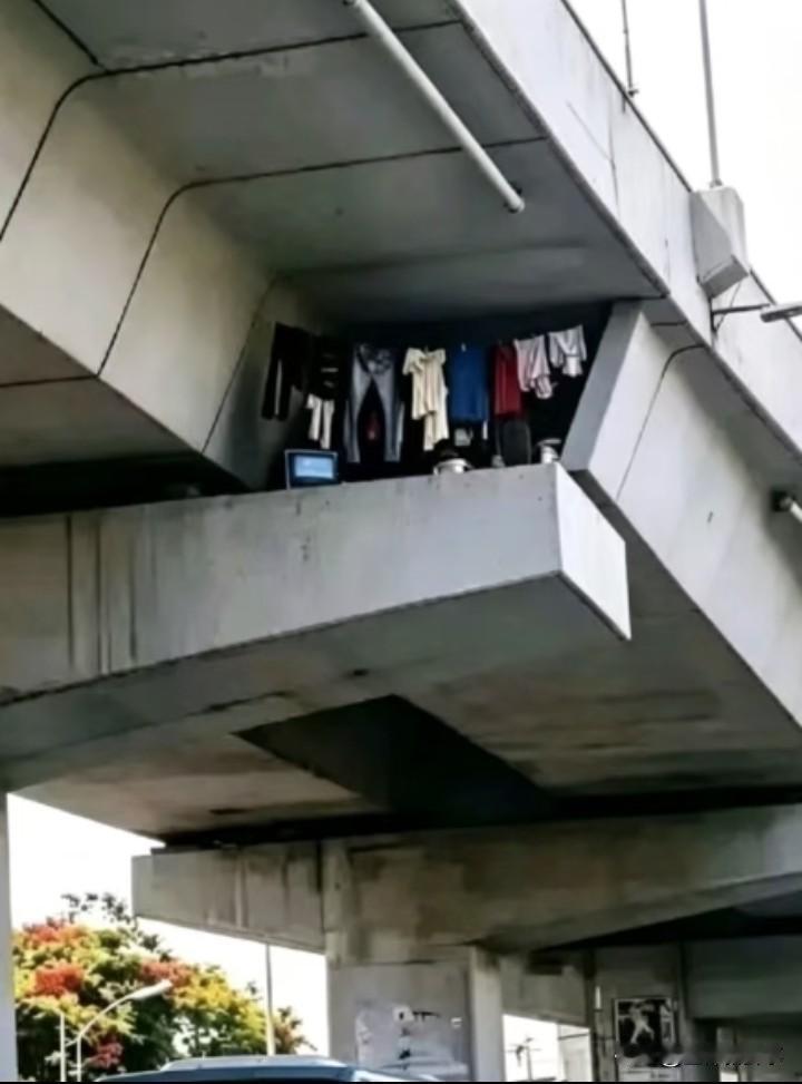 他们是怎么上去的？
