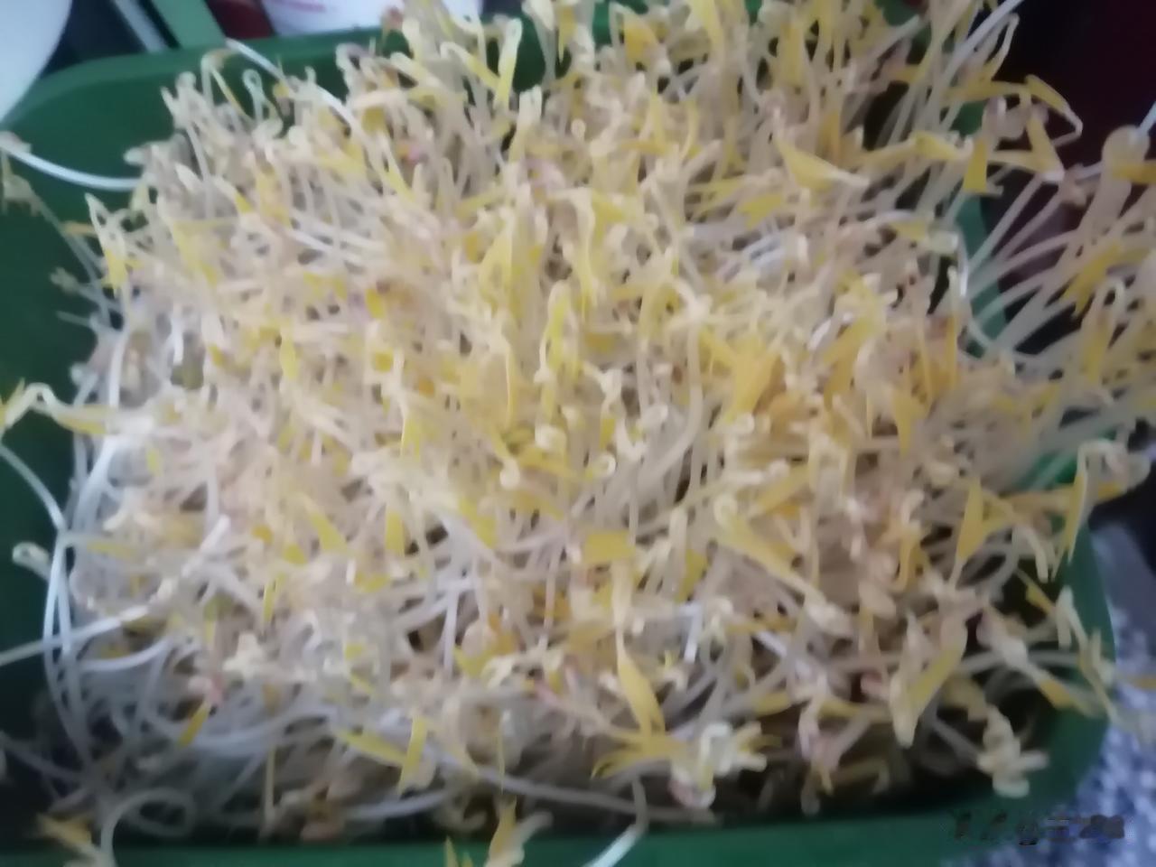 退休第592天，晚安。

今天我出去倒了垃圾，然后趁晚上去超市买了些特价蔬菜，顺