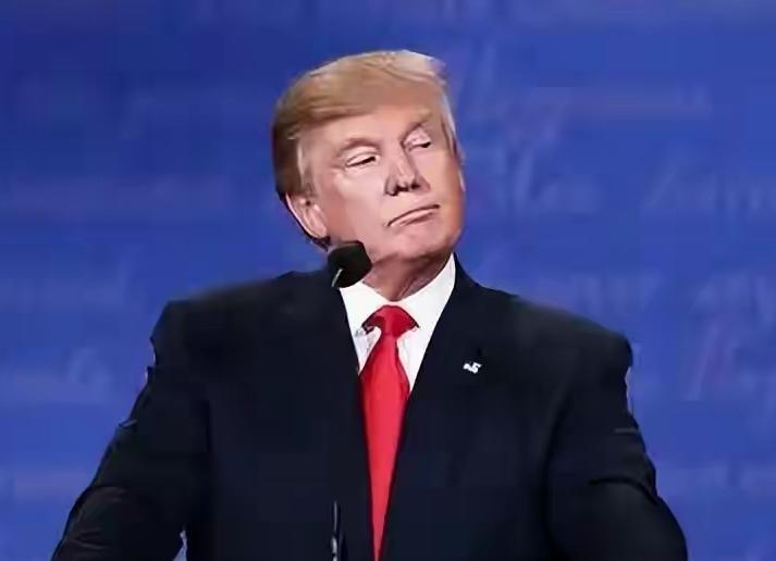 加拿大牵头建超级贸易联盟，西方盟友集体“倒反天罡”！特朗普没想到，小弟们真敢造反