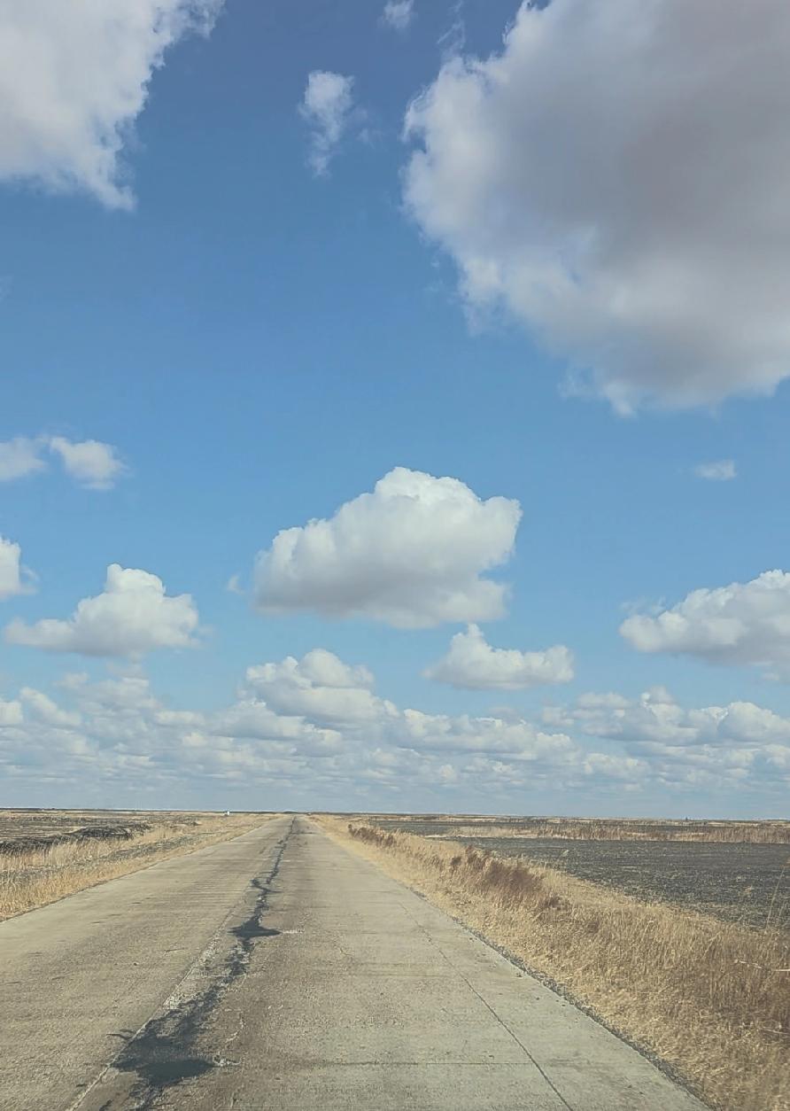 一望无际的内蒙古大草原，那简直是人间仙境。我曾去过一次，一下车就被眼前的景象震撼