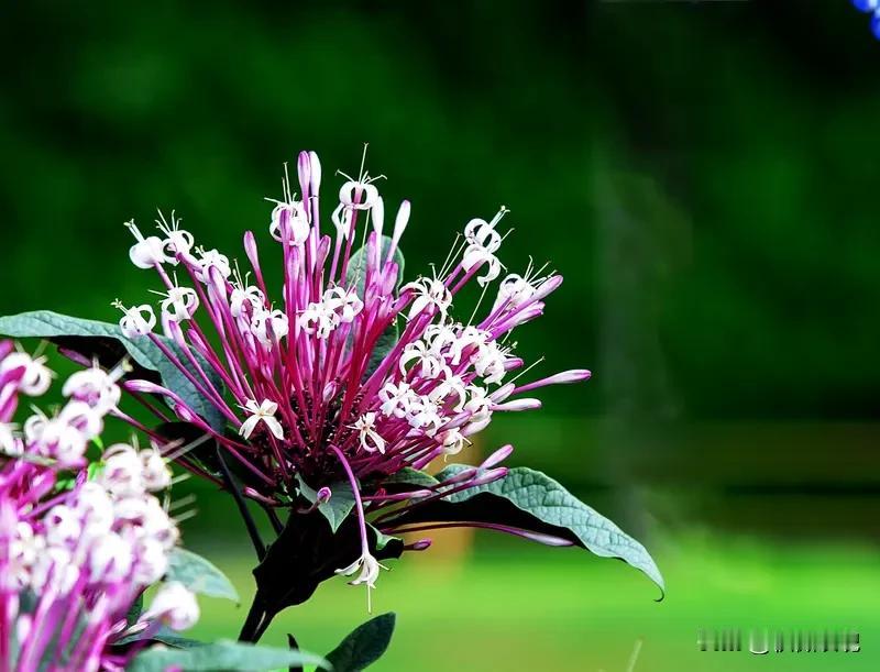 身体最深的寒
并非来自饮食生冷
也非外界风寒
而是源于长期积压的内心
那些未能释