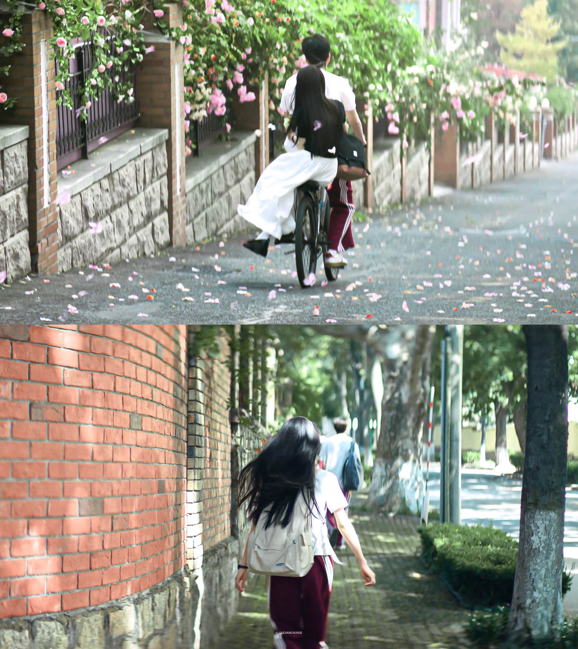🌷🍃🫧田曦薇 林知夏 ‹天才女友› 